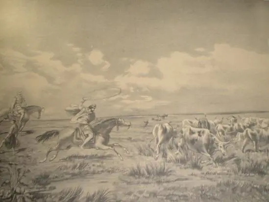 gaucho