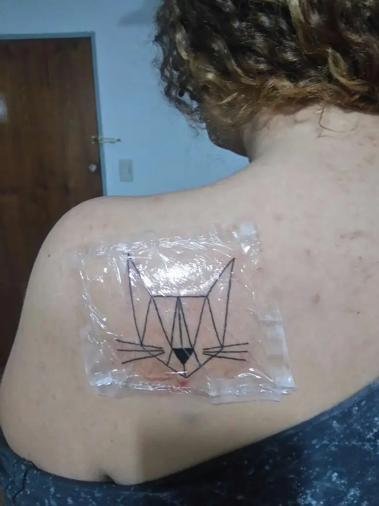 gato