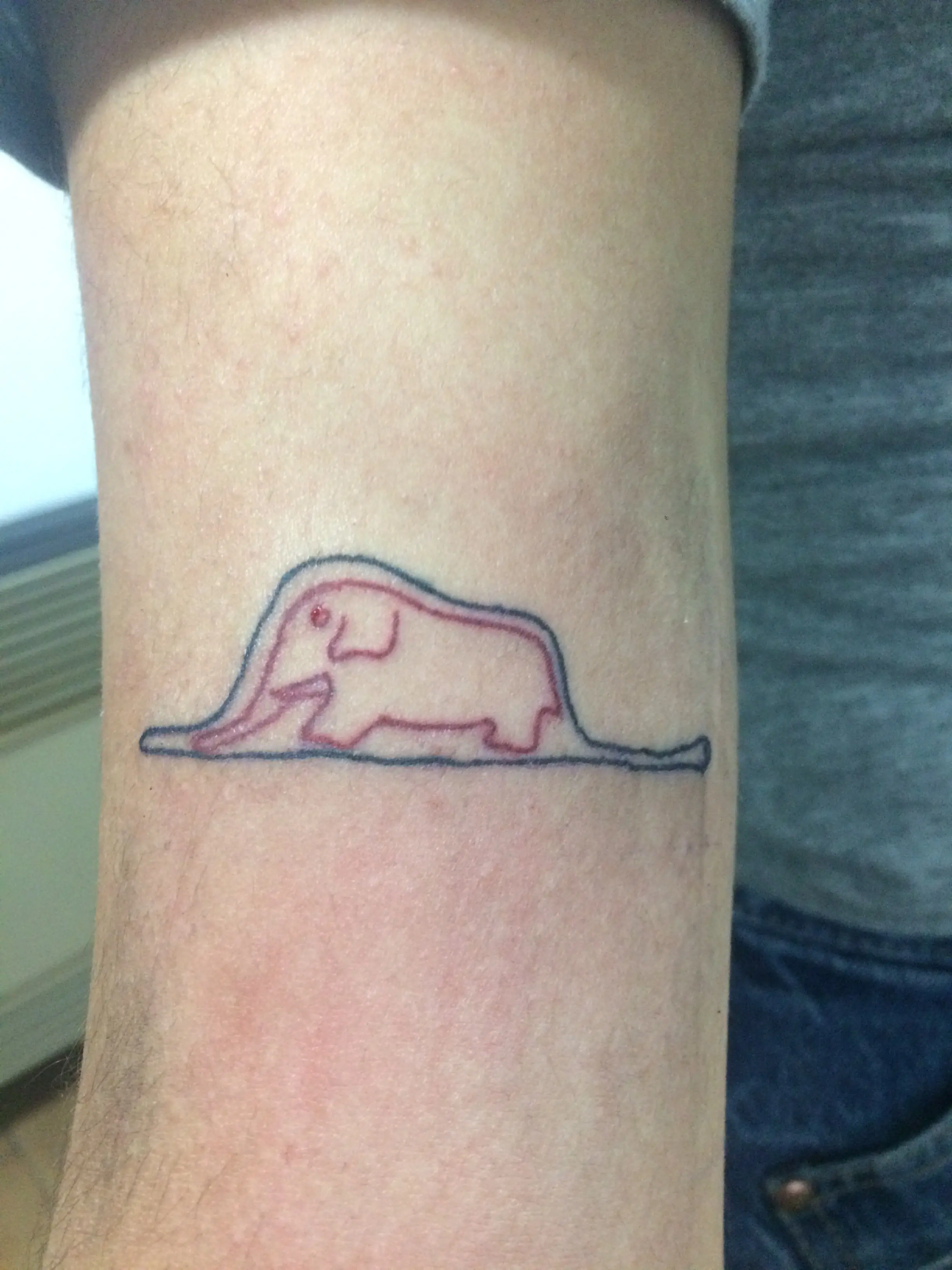 Estoy aprendiendo a tatuar y te lo muestro!