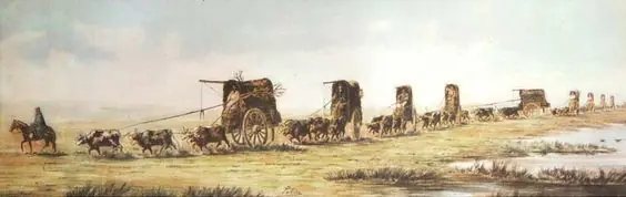 gaucho