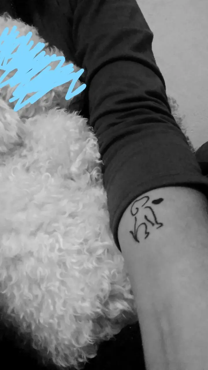 tatuar