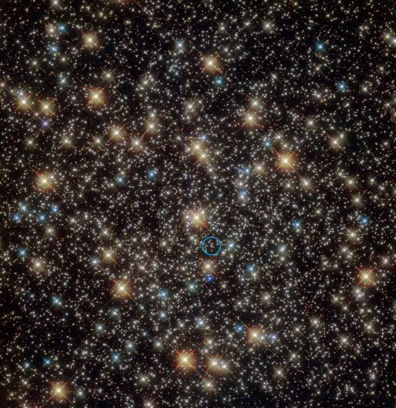 estrella