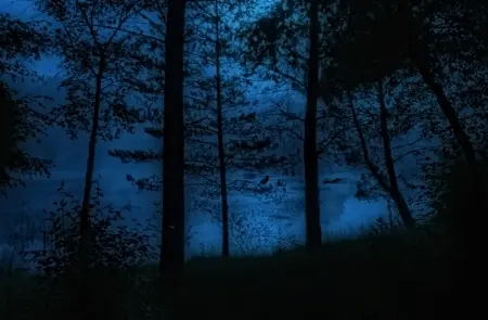 Y la muerte no tendrá señorío. Dylan Thomas.