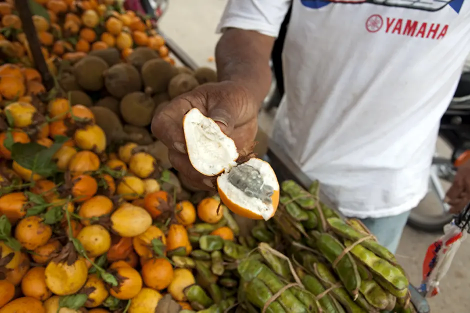 gastronomía peruana