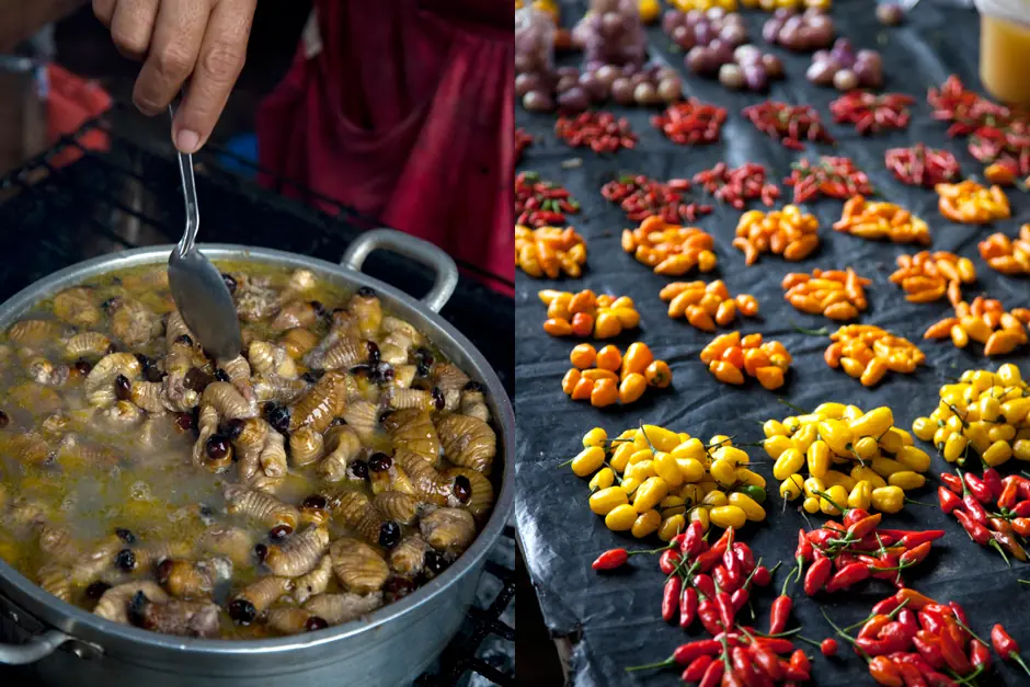 gastronomía peruana
