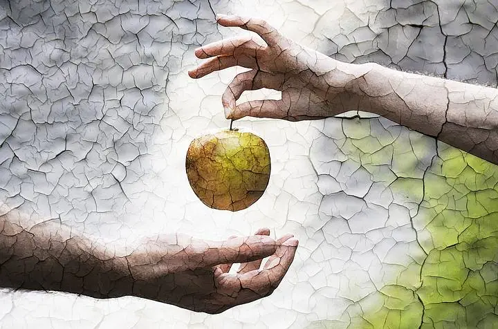 fruto