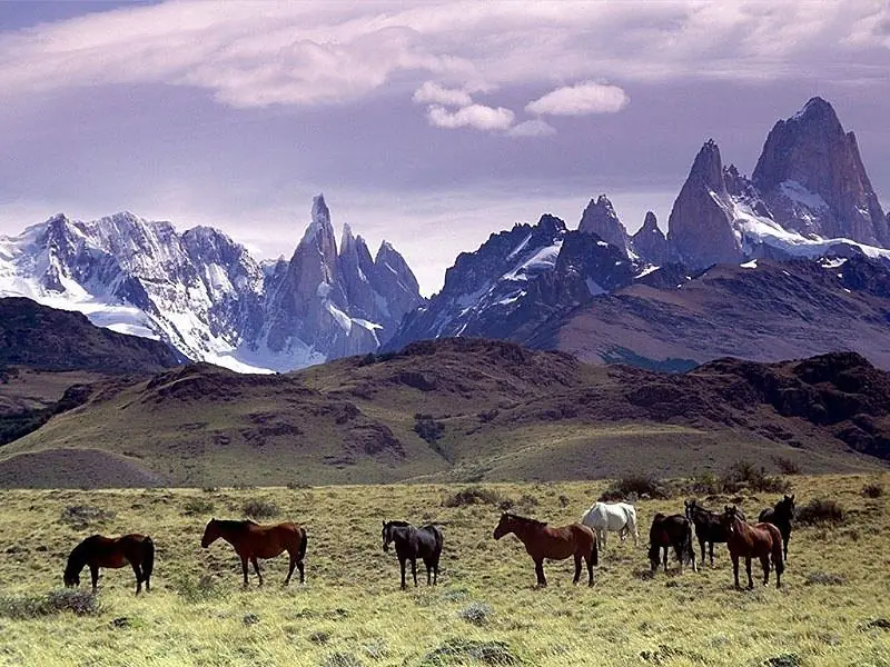 argentina