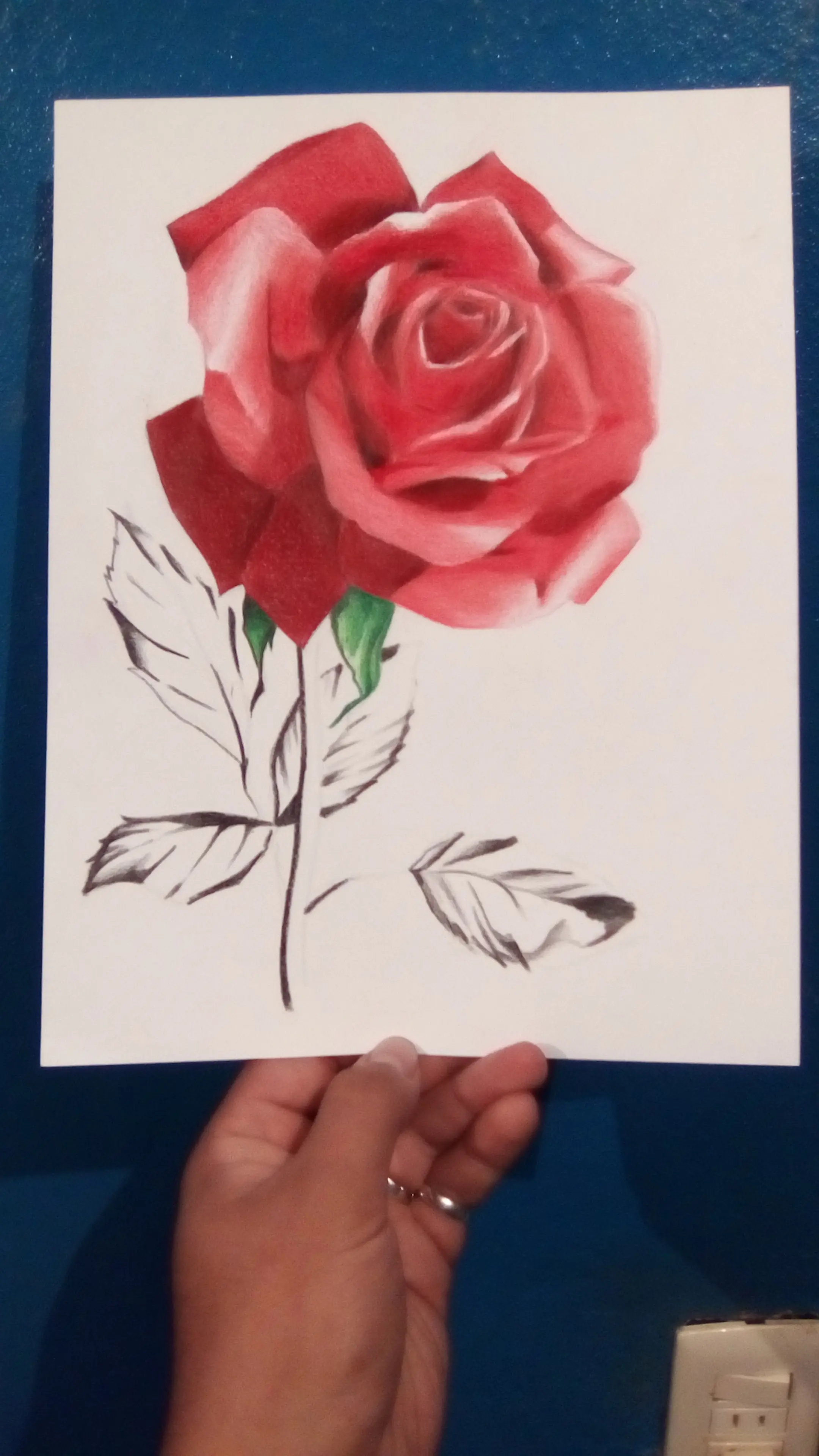 Dibujo rapido de una rosa