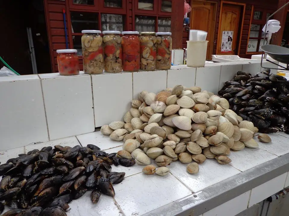 Gastronomia