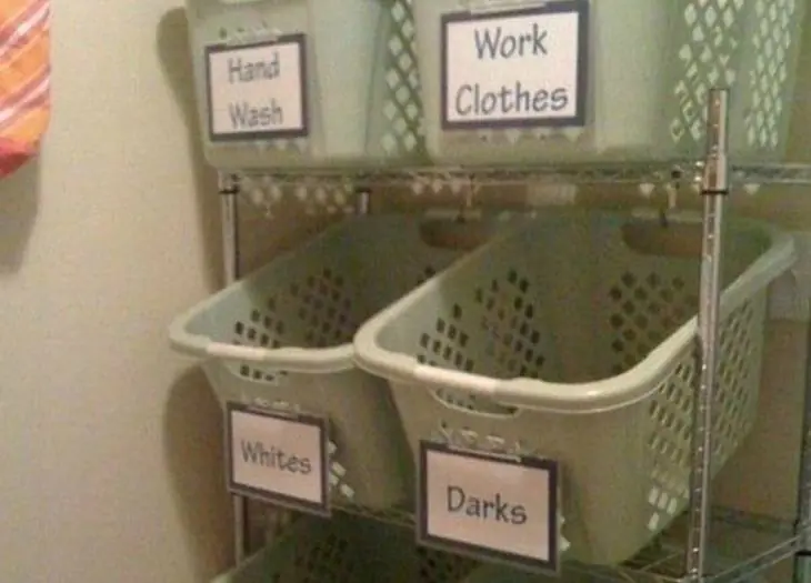 organizar