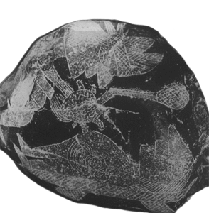 una civilización que coexistió con los dinosaurios?