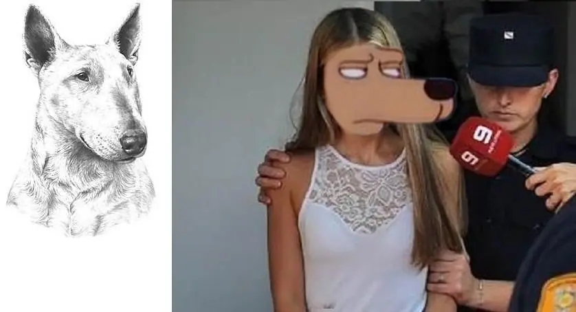 alto ahi o mi pistola dispara