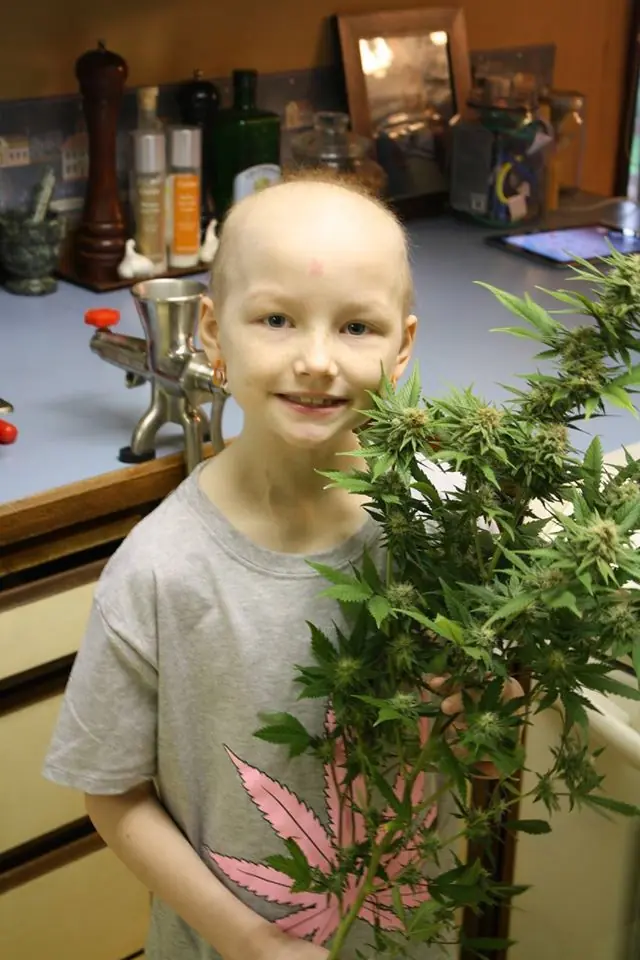 100 Estudios demuestran que la marihuana combate el cancer