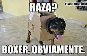 Un poco de humor para despedir la noche!