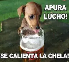 noche