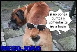 noche