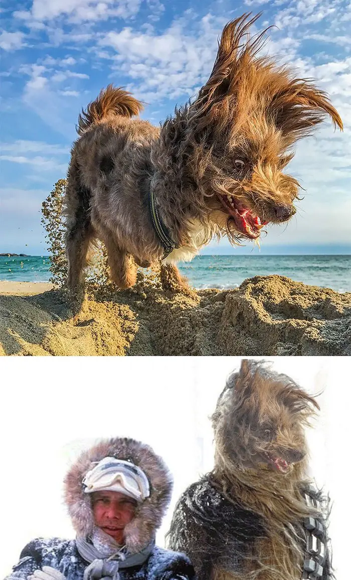 Photoshop