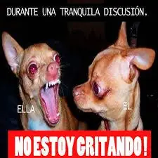 noche