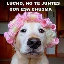 despedir