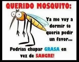 despedir