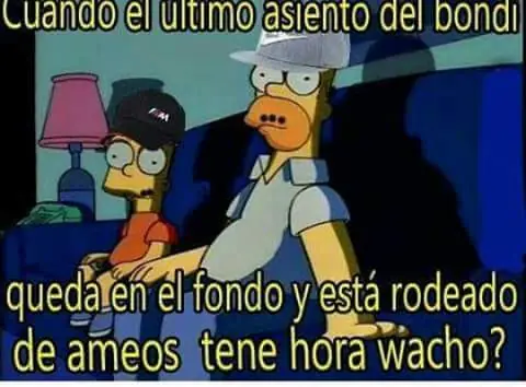 Imagenes de Los Simpsons Turros Guachin
