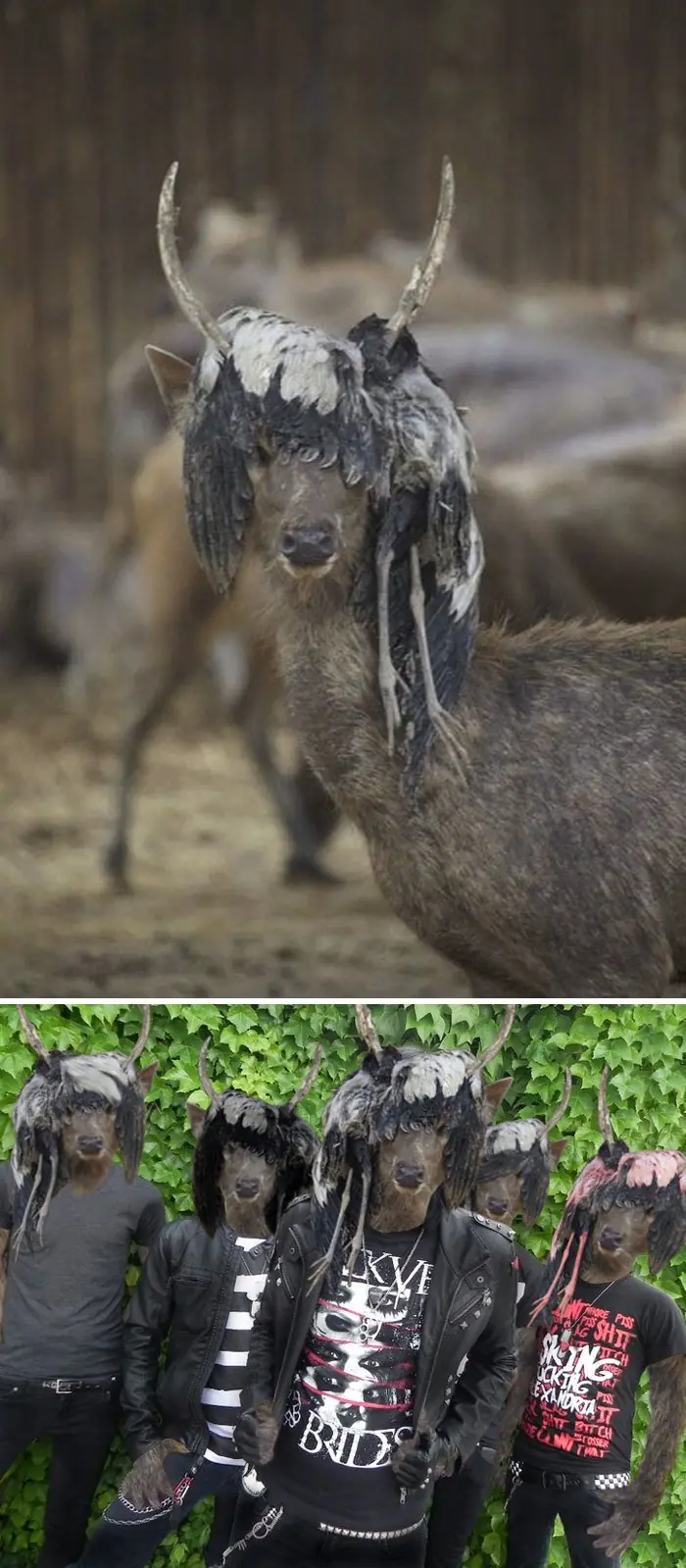 Batalla
