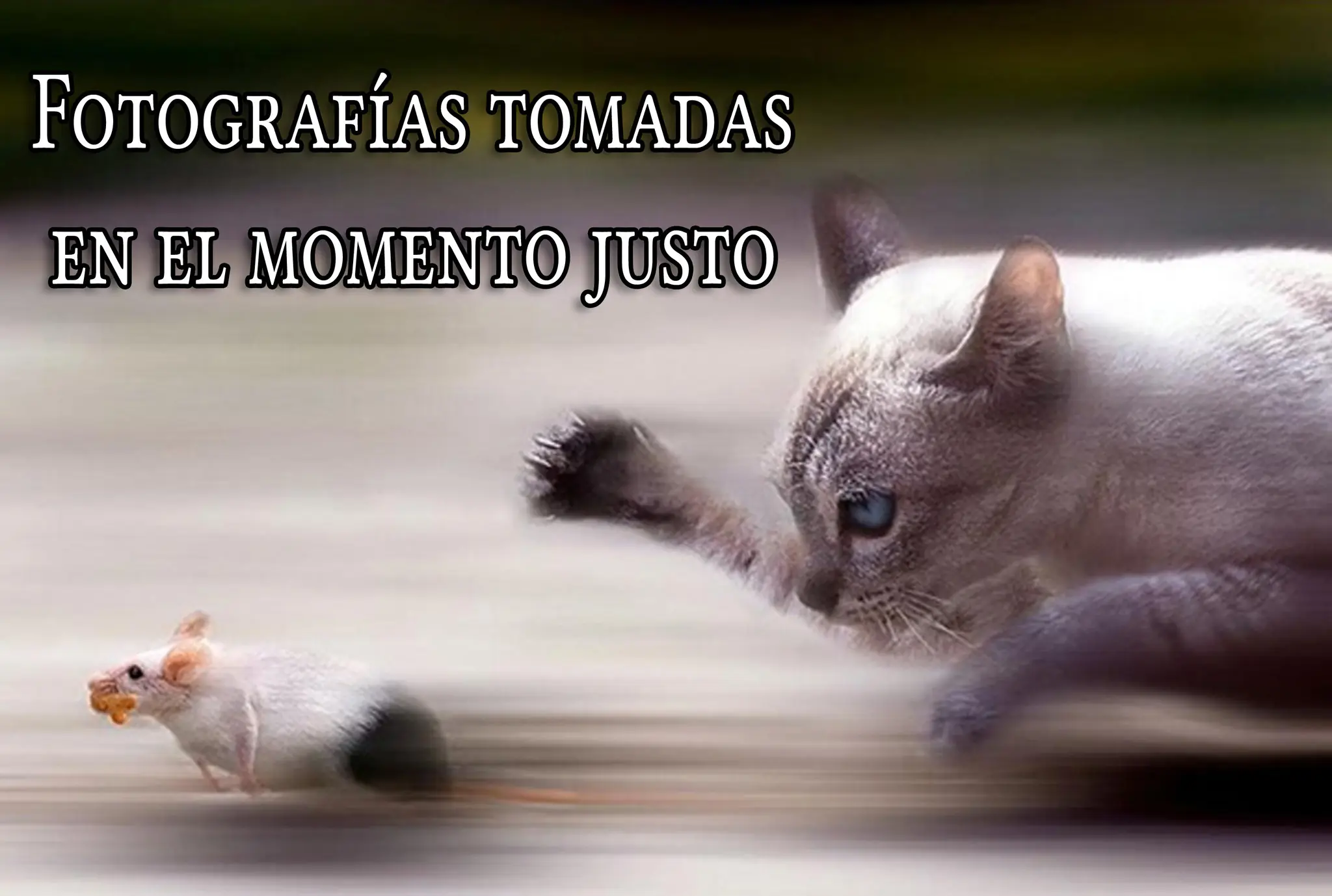 Graciosas