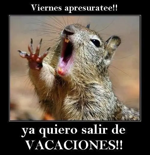 viernes