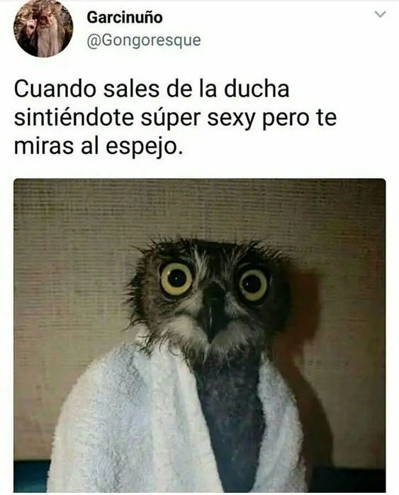 humor