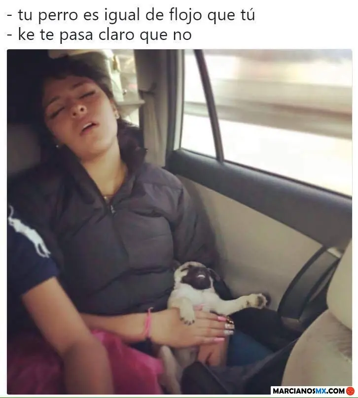 gracioso
