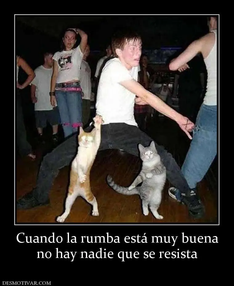 rumba