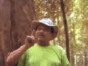 gifs