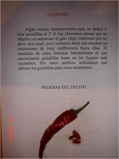 vecinas