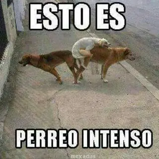 viernes