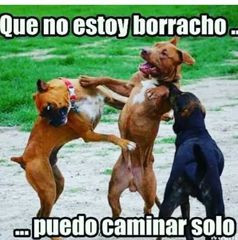 viernes