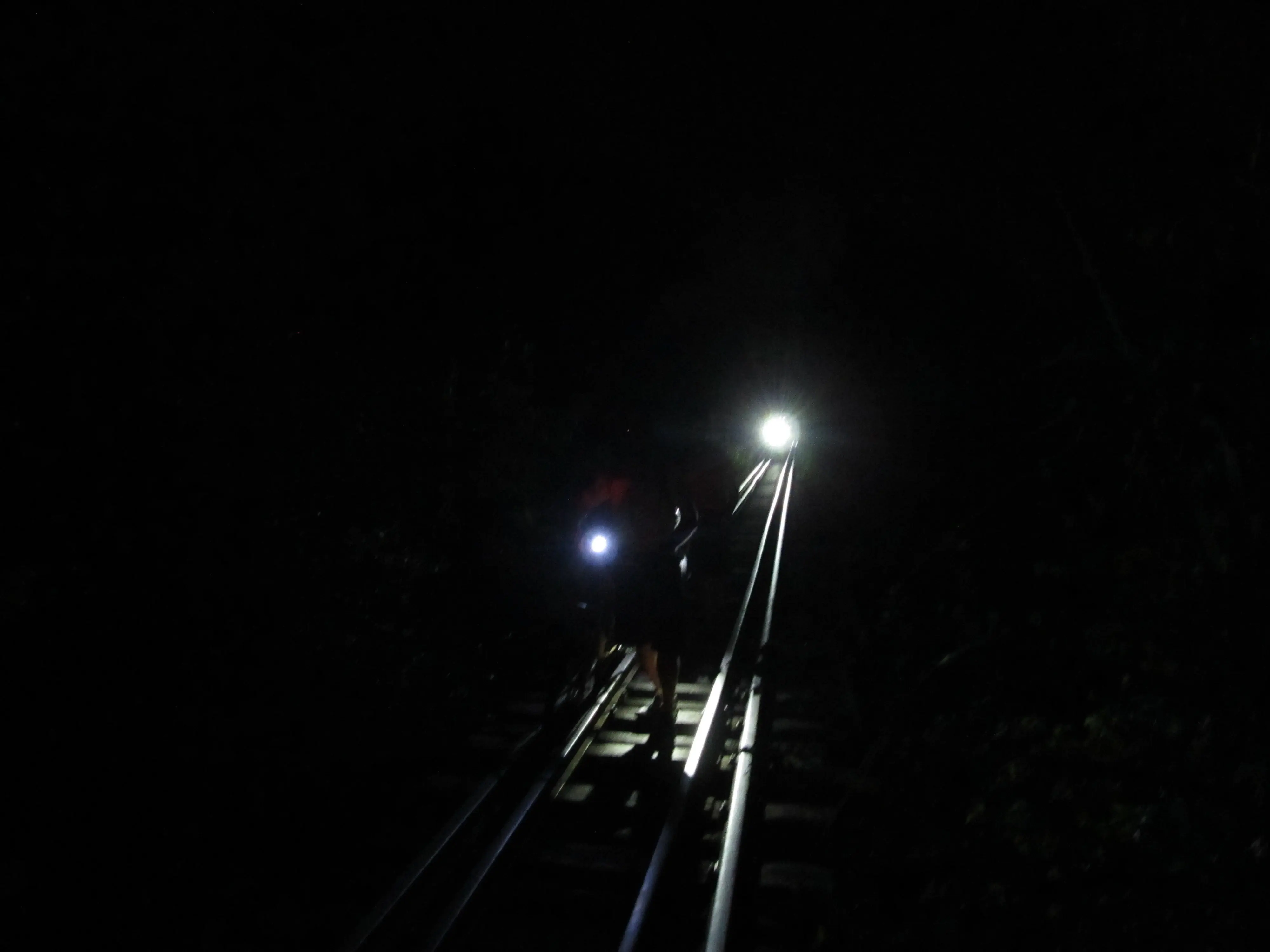 Pedaleé toda la noche por vías muertas y túneles vegetales.