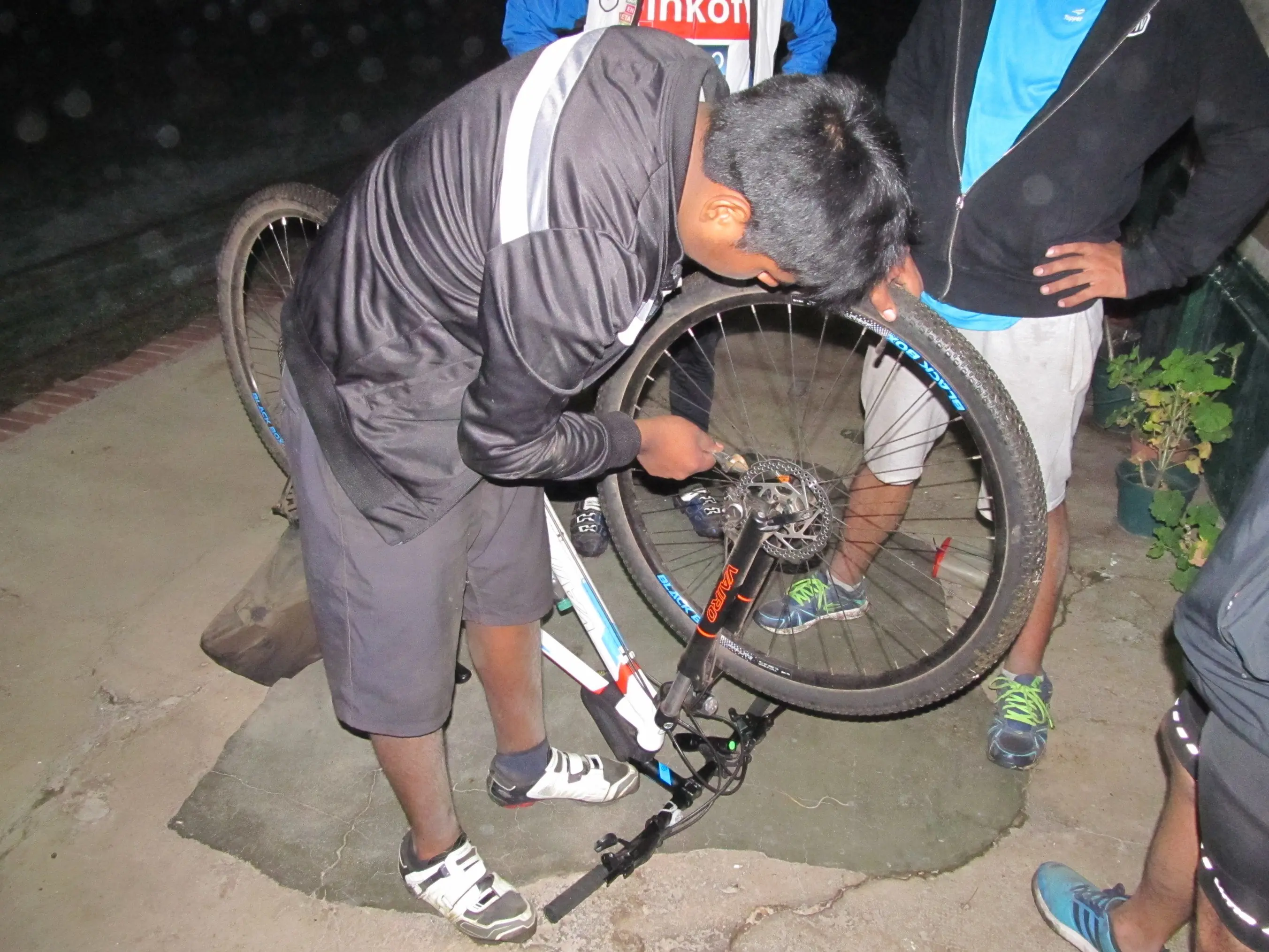 Pedaleé toda la noche por vías muertas y túneles vegetales.