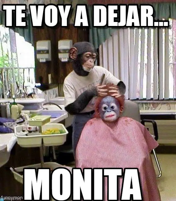 humor