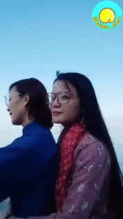 Los mejores gifs de hoy