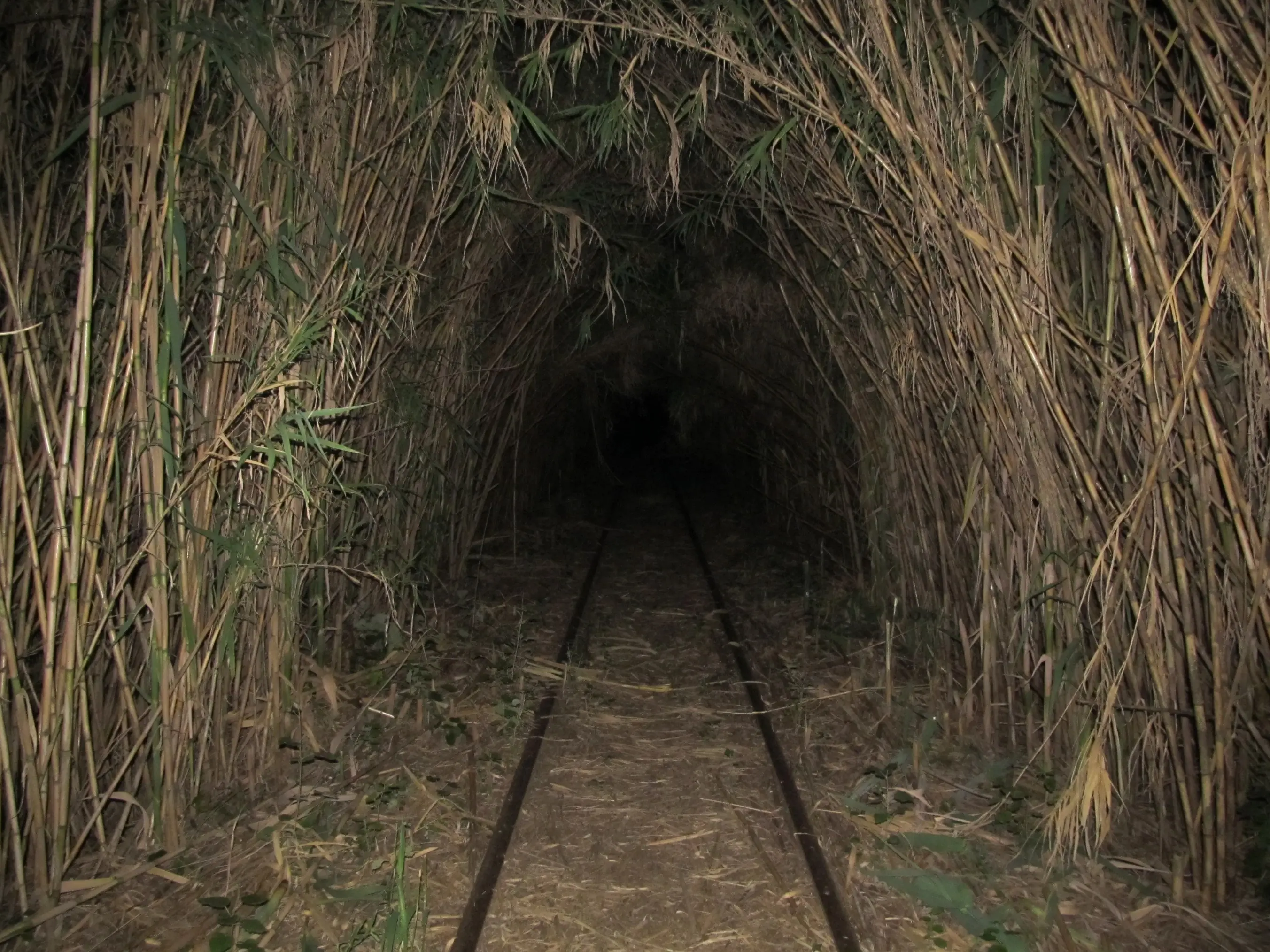 cicloturismo