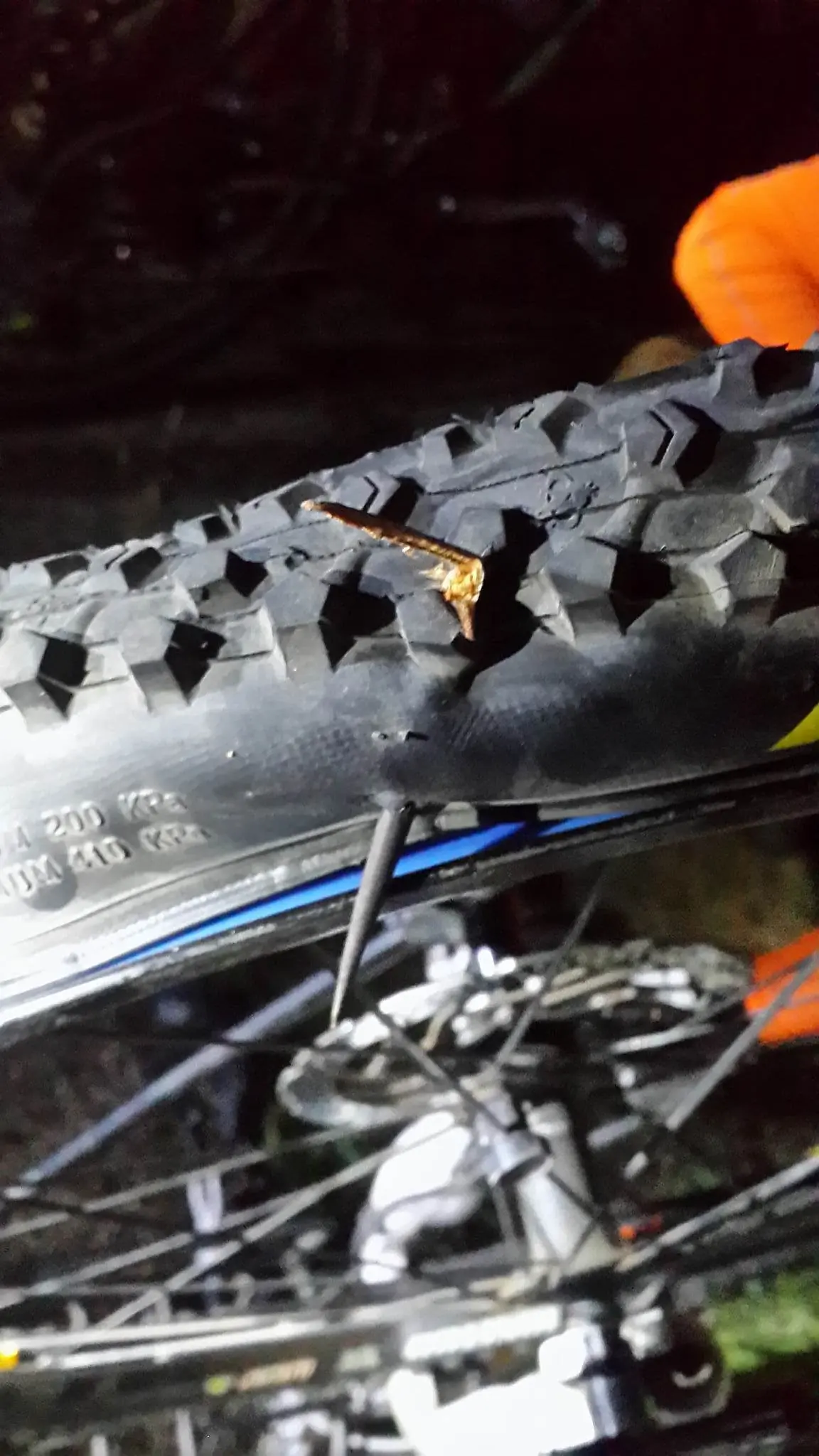 Pedaleé toda la noche por vías muertas y túneles vegetales.