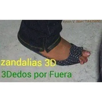 alegria