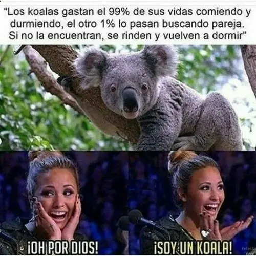 risa