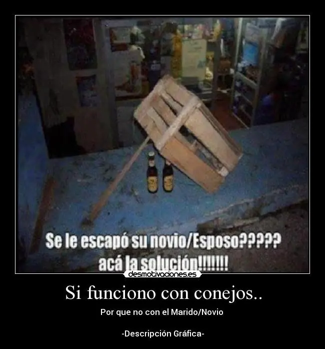 humor