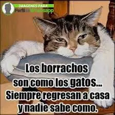 salir