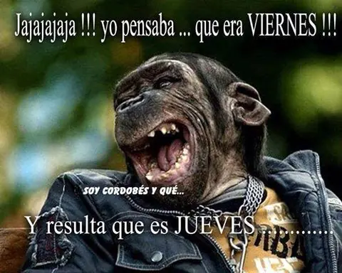 Viernes de gran humor y mucha rumba