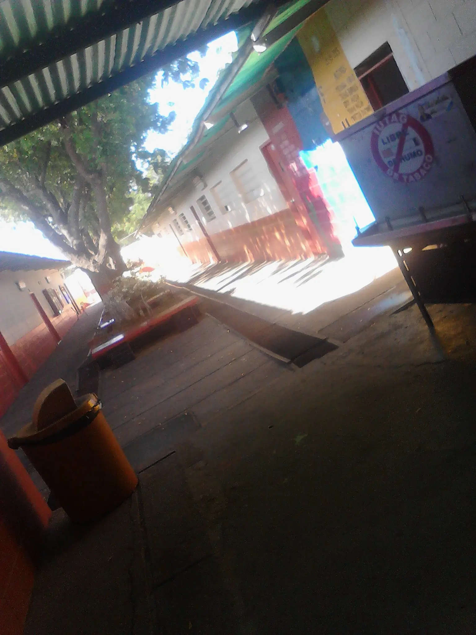 Te cuento, me ayudan si salgo embarazada pero no si estudio