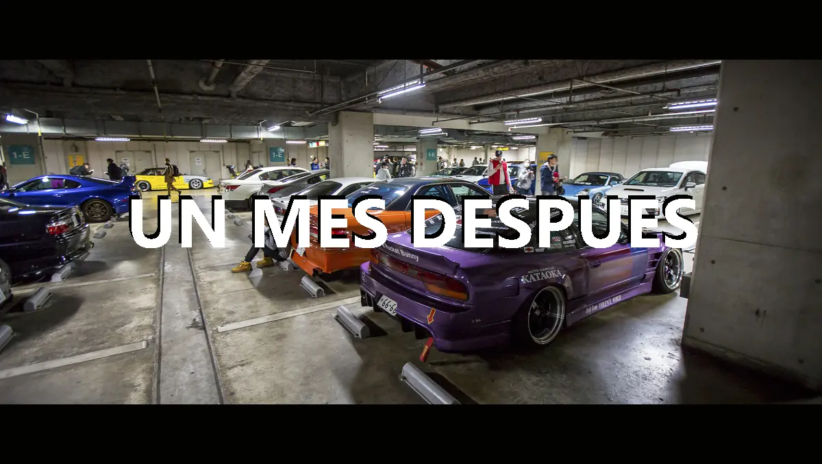 venganza