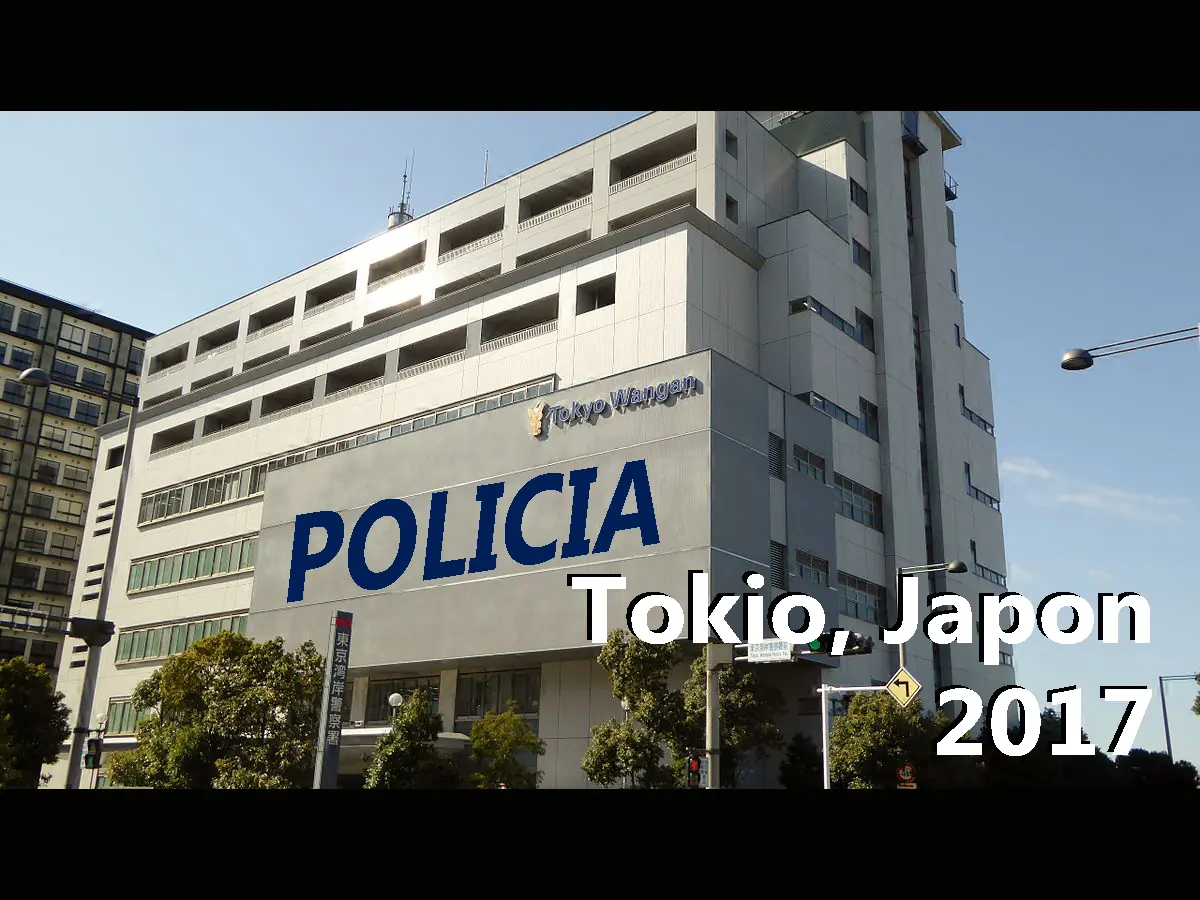 pelicula