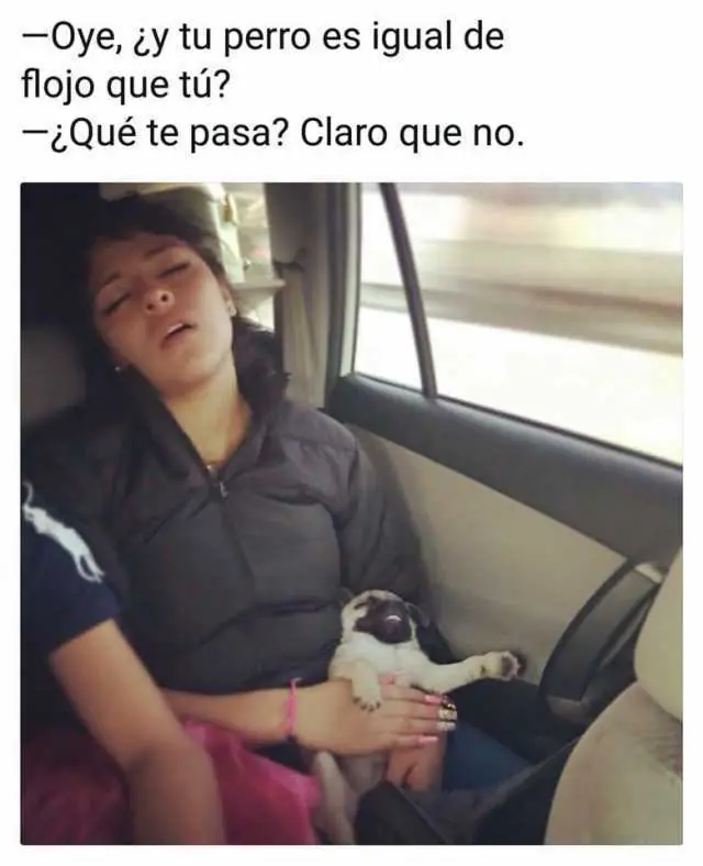 Humor
